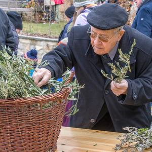 Palmweihe wird zu einem lebendigen Gottesdienst.